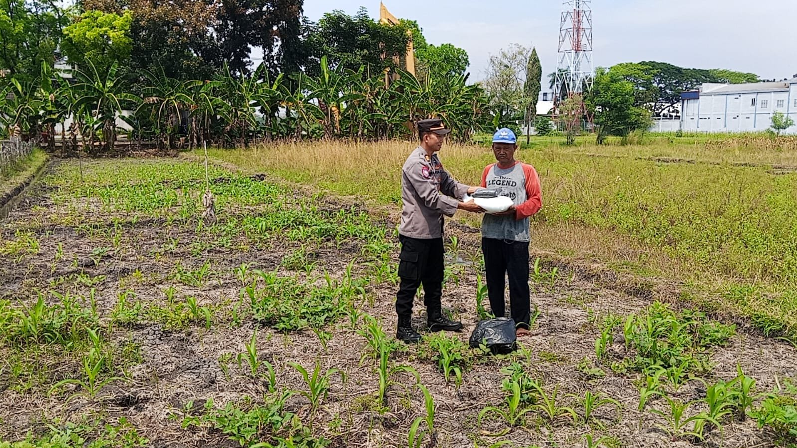 Dukung Ketahanan Pangan, Polsek Magersari Polres Mojokerto Kota Serahkan Bantuan Pupuk Jagung kepada Petani