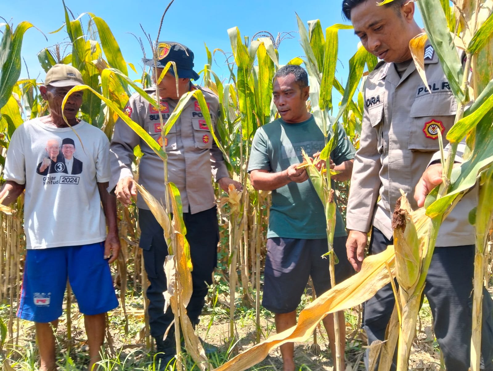 Polresta Sidoarjo Gelorakan Swasembada Pangan Melalui Program P2B Polresta Sidoarjo Gelorakan Swasembada Pangan Melalui Program P2B