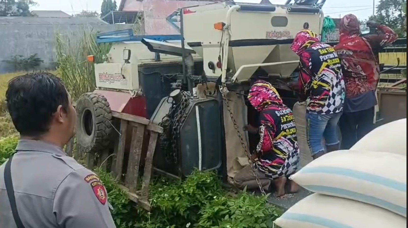 Bhabinkamtibmas Surodinawan Dampingi Panen Padi, Ajak Petani Tanam Jagung untuk Dukung Ketahanan Pangan Bhabinkamtibmas Surodinawan Dampingi Panen Padi, Ajak Petani Tanam Jagung untuk Dukung Ketahanan Pangan