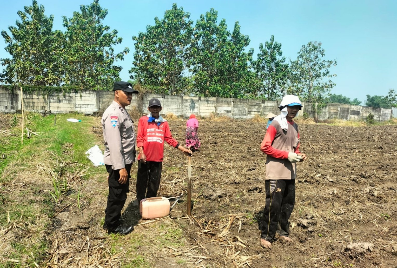 Bhabinkamtibmas Desa Japanan Sambangi Petani Jagung, Perkuat Ketahanan Pangan Nasional