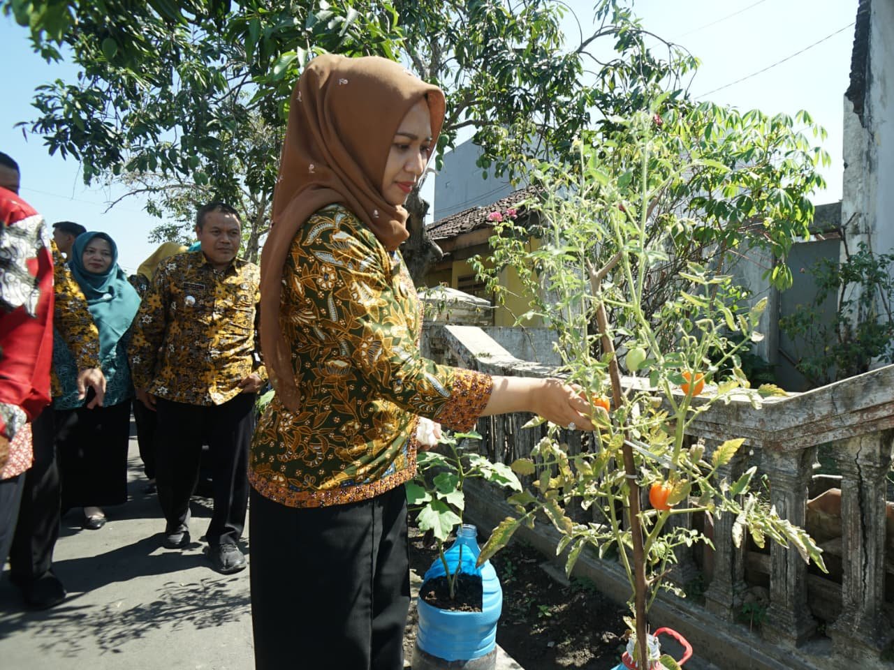 Dari Pekarangan untuk Ketahanan Pangan, Wali Kota Mojokerto Masifkan Gerakan Cabenisasi Dari Pekarangan untuk Ketahanan Pangan, Wali Kota Mojokerto Masifkan Gerakan Cabenisasi