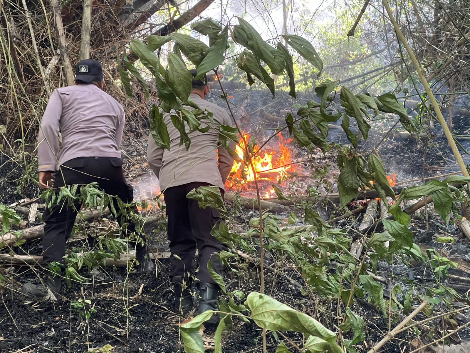 Polres Trenggalek Terjunkan Personel Jajaran Padamkan Api di Gunung Orak Arik Polres Trenggalek Terjunkan Personel Jajaran Padamkan Api di Gunung Orak Arik