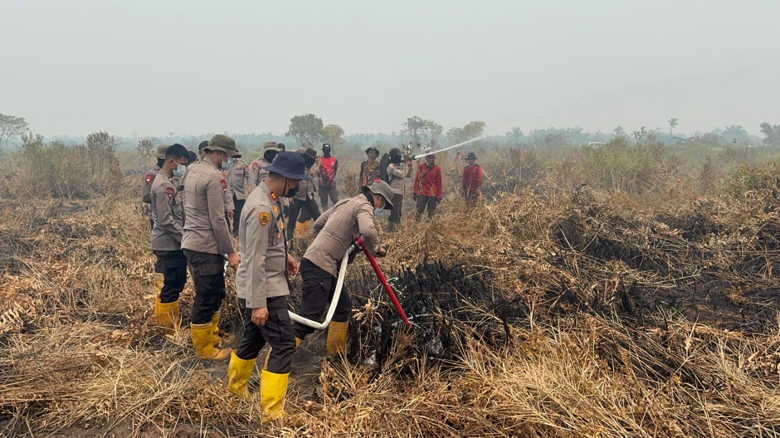 Polda Jambi Gunakan 1.400 Liter Cairan X-Fire untuk Percepat Penanganan Karhutla di Taman Nasional Berbak Polda Jambi Gunakan 1.400 Liter Cairan X-Fire untuk Percepat Penanganan Karhutla di Taman Nasional Berbak