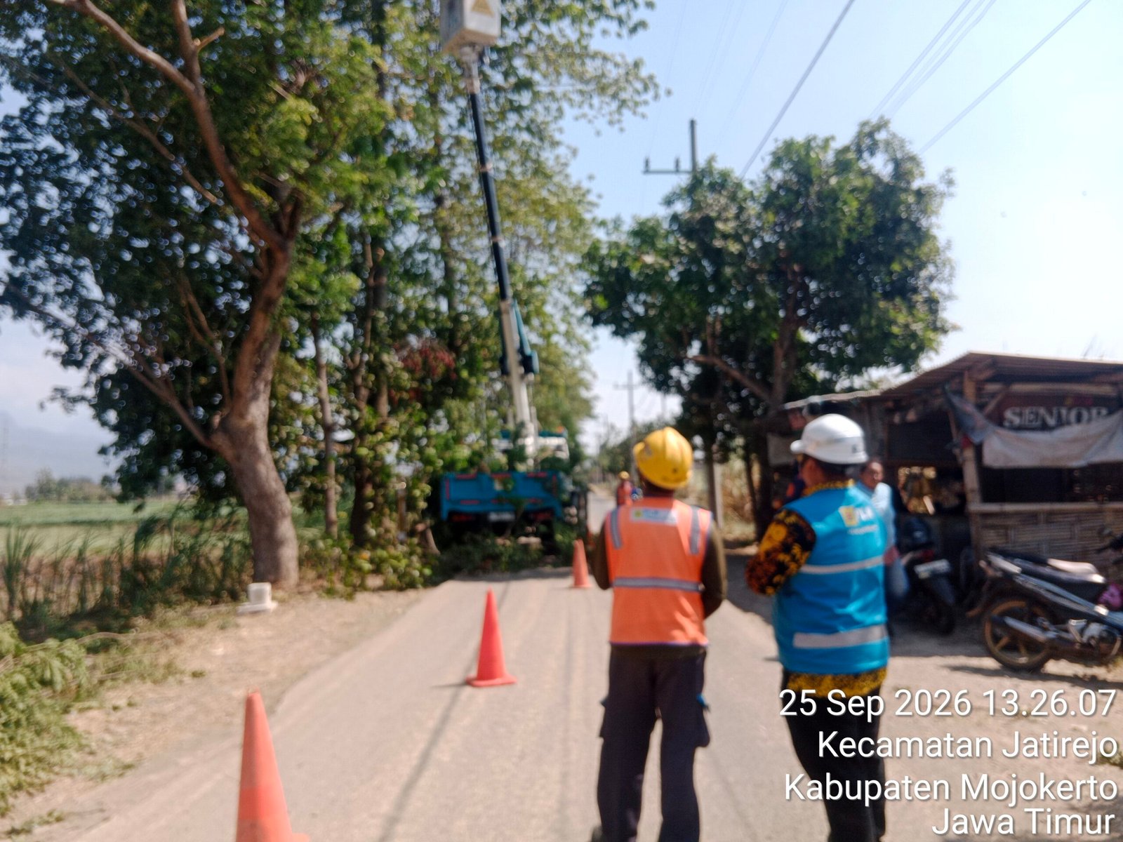 PLN ULP Pacet Rapikan Sekitar 20 Pohon di Jalan Tumapel Jatirejo, Cegah Gangguan Jaringan Listrik PLN ULP Pacet Rapikan Sekitar 20 Pohon di Jalan Tumapel Jatirejo, Cegah Gangguan Jaringan Listrik